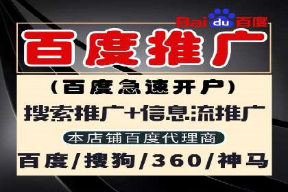 SEM广告投放案例：打造品牌影响力
